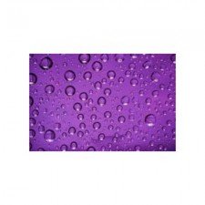 Baker White Purple Rane